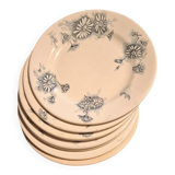 Set of 8 antique plates