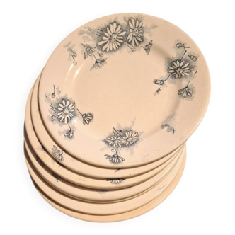 Set of 8 antique plates