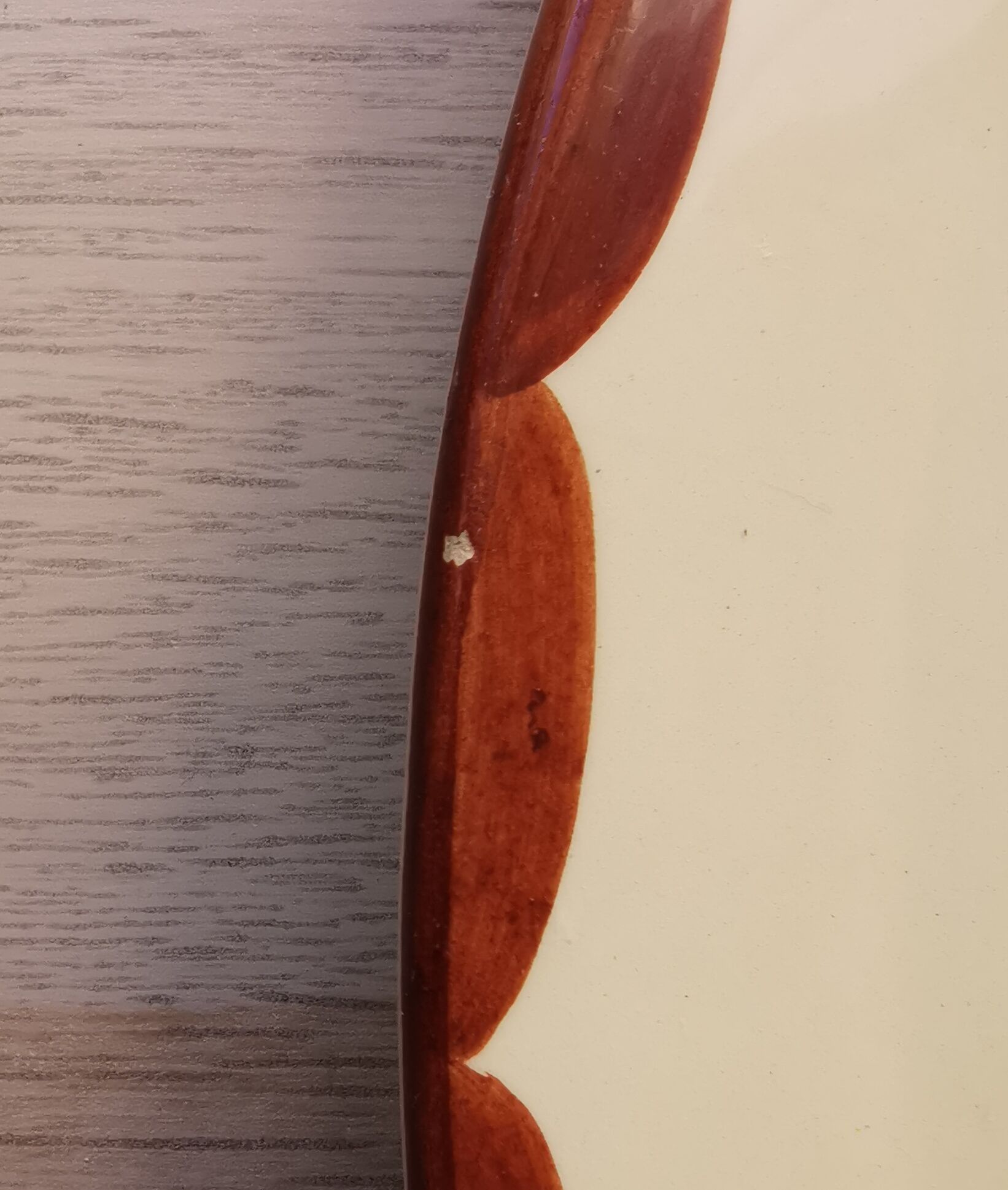 Lonchamp pie dish Agen model