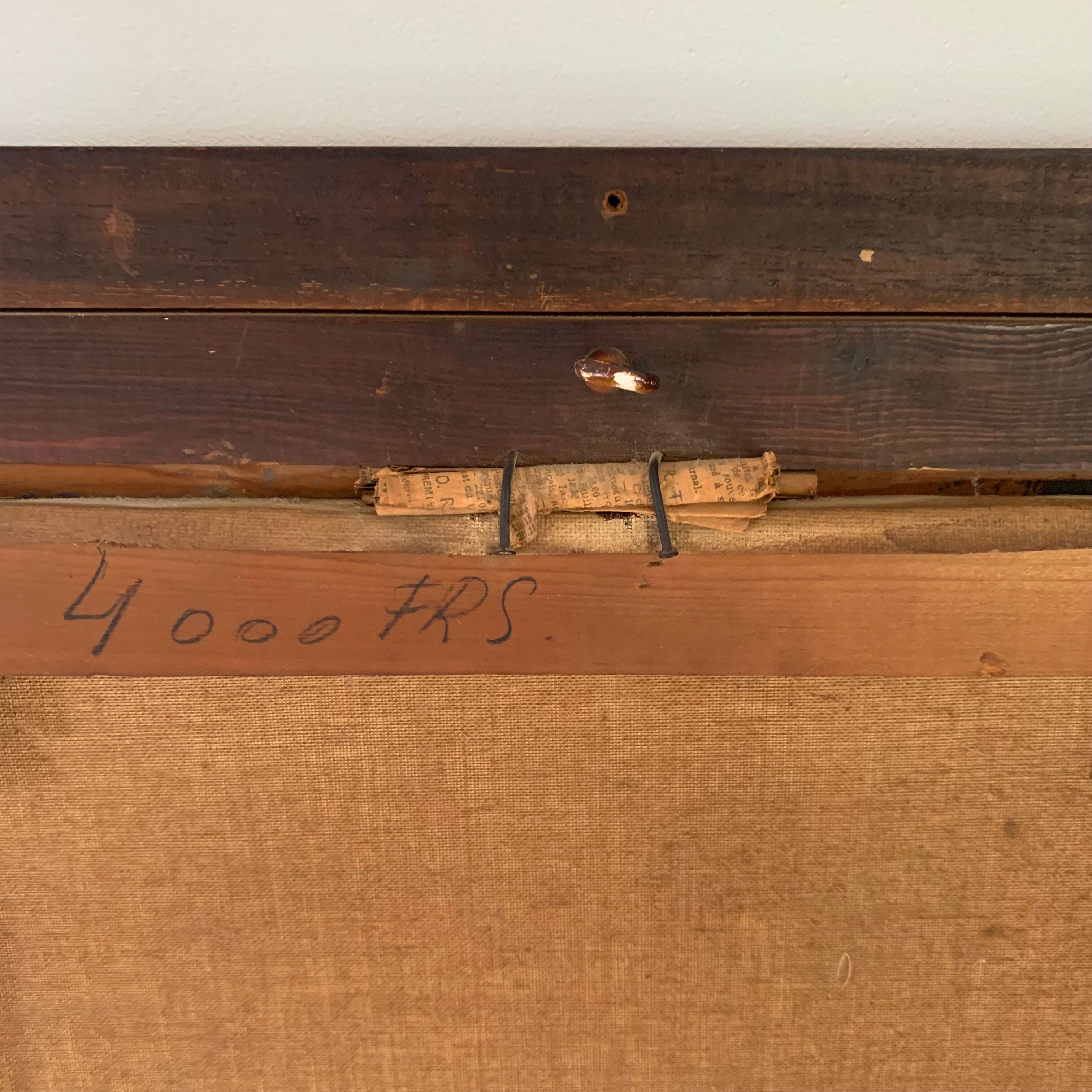 Portrait of a cocker spaniel dog