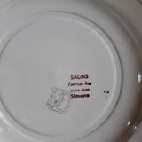 Lot of 9 hollow plates Salins model Simone