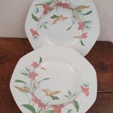 6 hollow plates pontesa