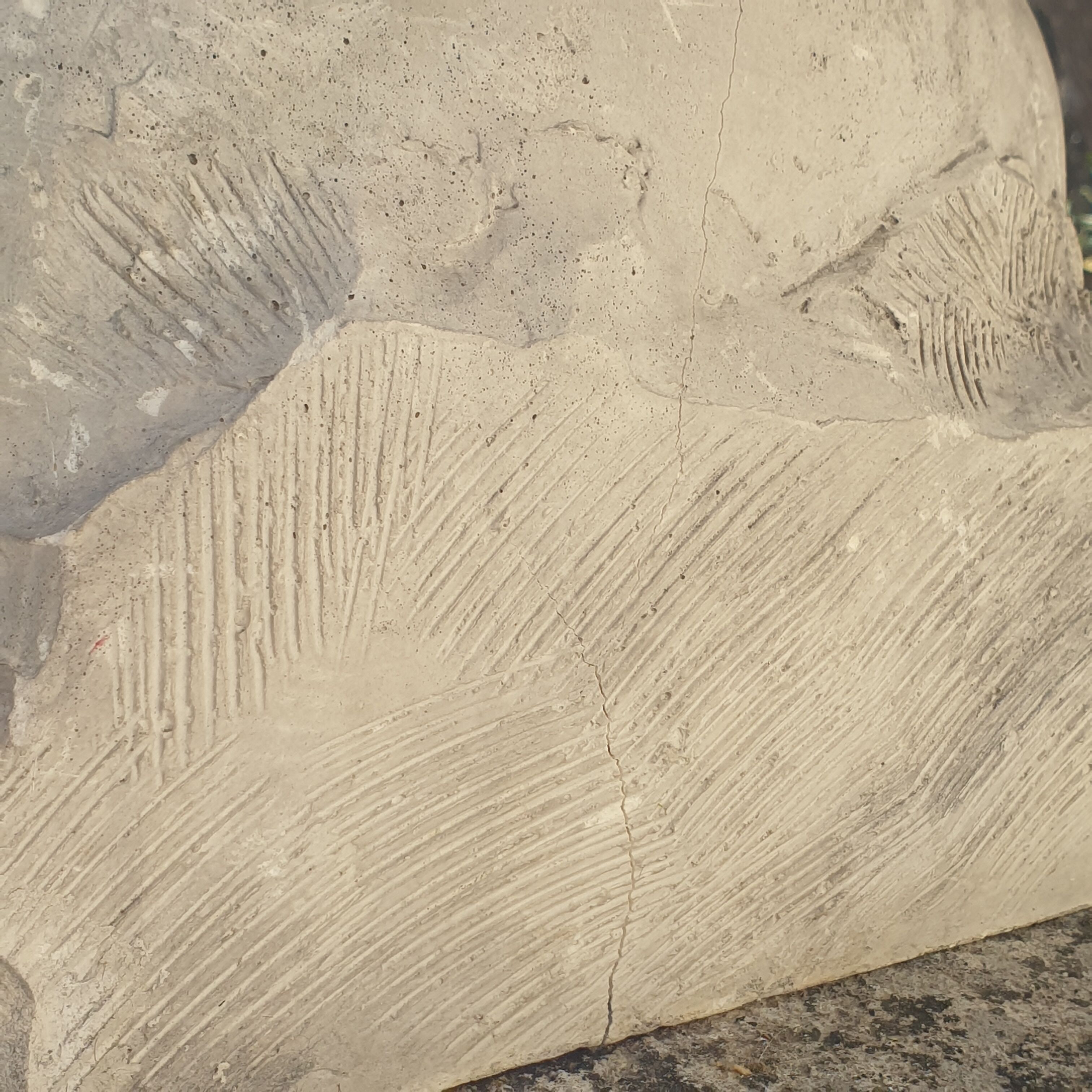 Bust Child in Platre