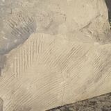 Bust Child in Platre