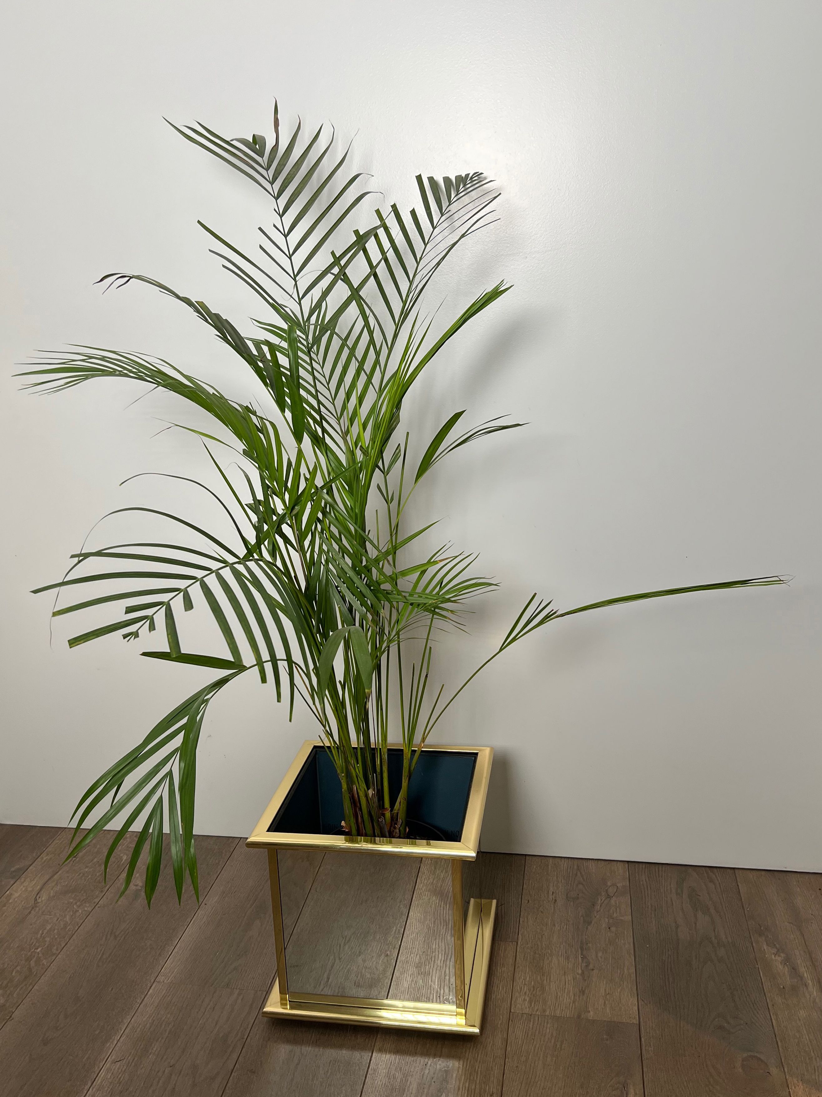 Jardinière en miroir et métal doré