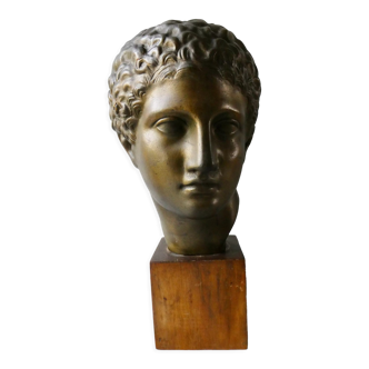 Bust, head of Hermes in terracotta patina bronze