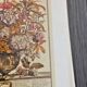 Lot of 19th century Floral Engravings - Vintage Art Print Flowers - 12 months - Robert Furber