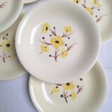 Vintage Salins deep plates