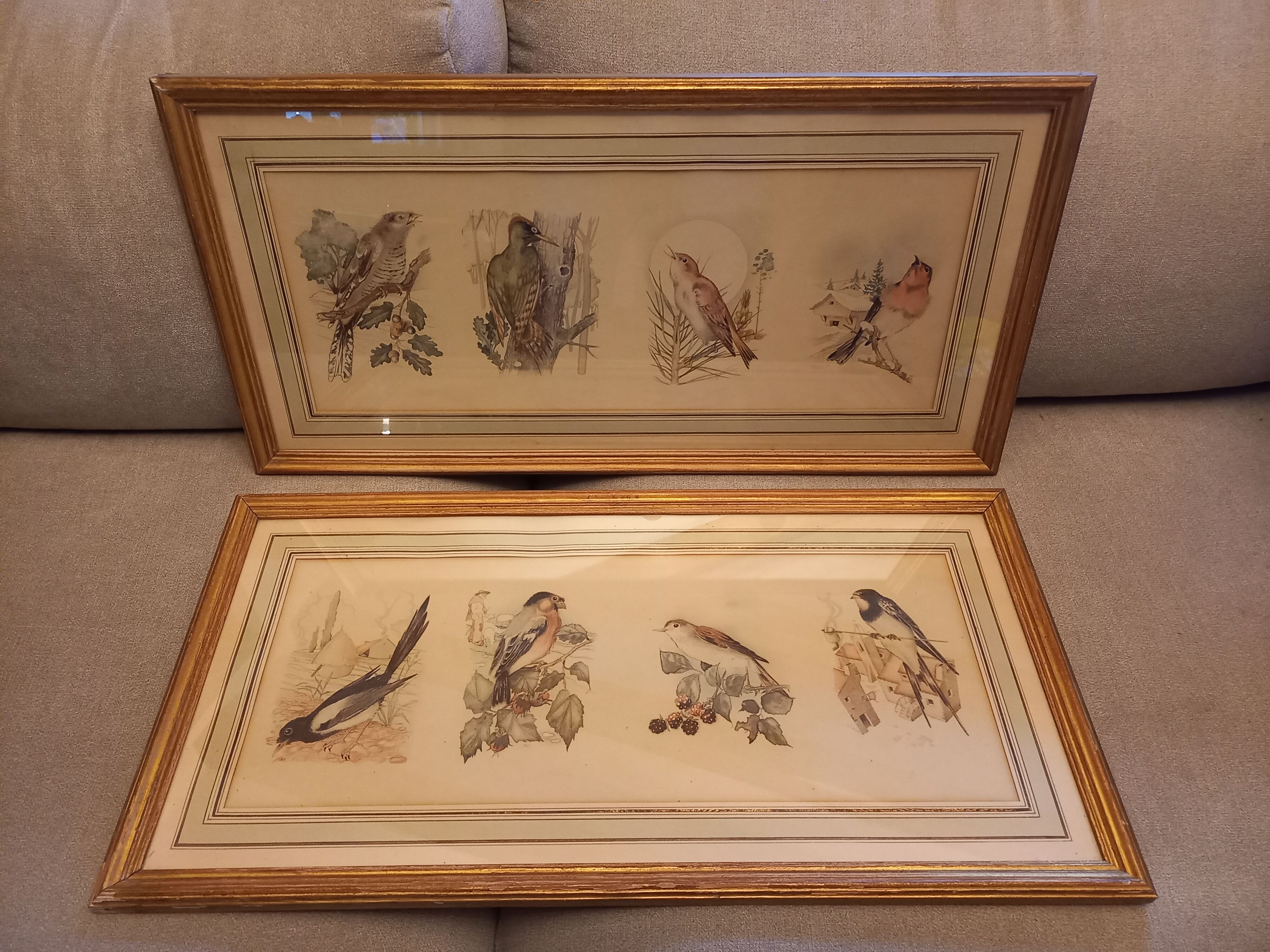 Lot 2 watercolors ancient birds