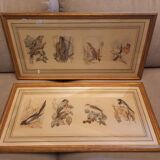 Lot 2 aquarelles oiseaux anciennes