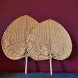 Palm fan