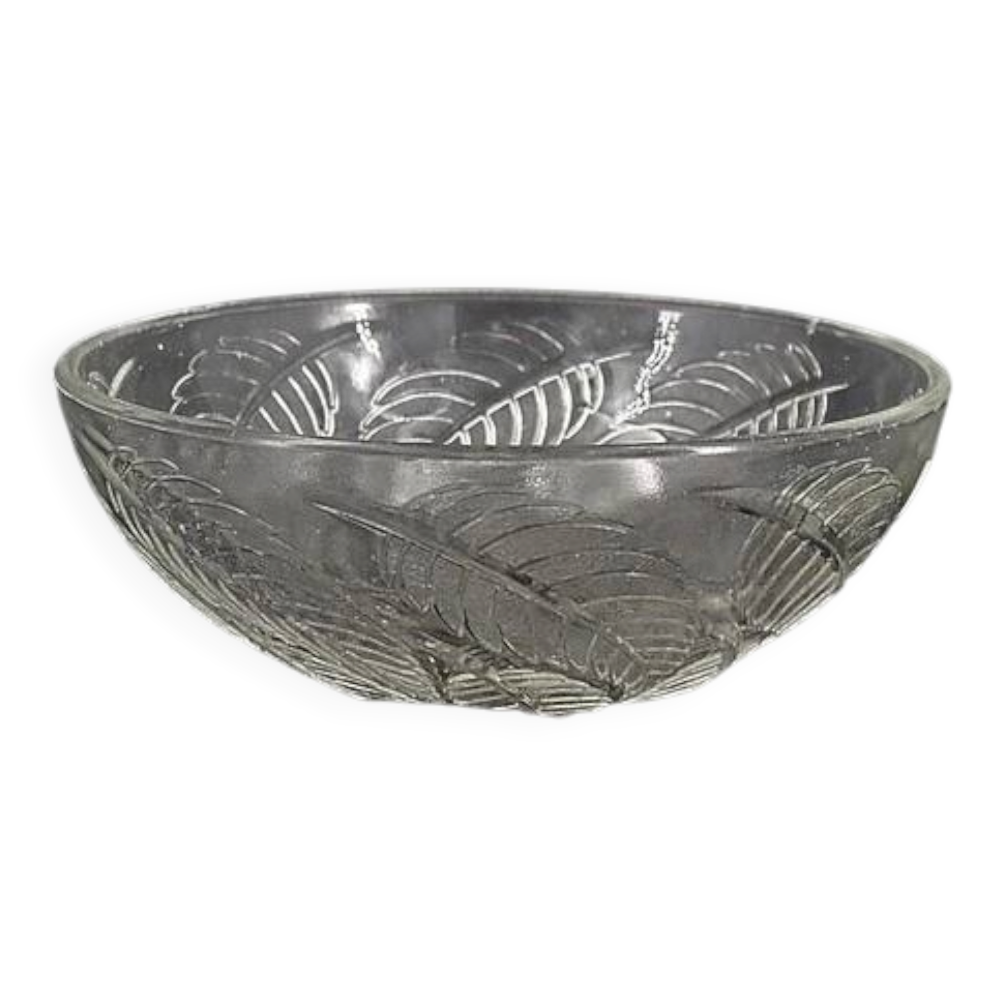 Cups "chestnut leaves" in Lalique glass, excellent condition, signed.