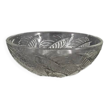Cups "chestnut leaves" in Lalique glass, excellent condition, signed.