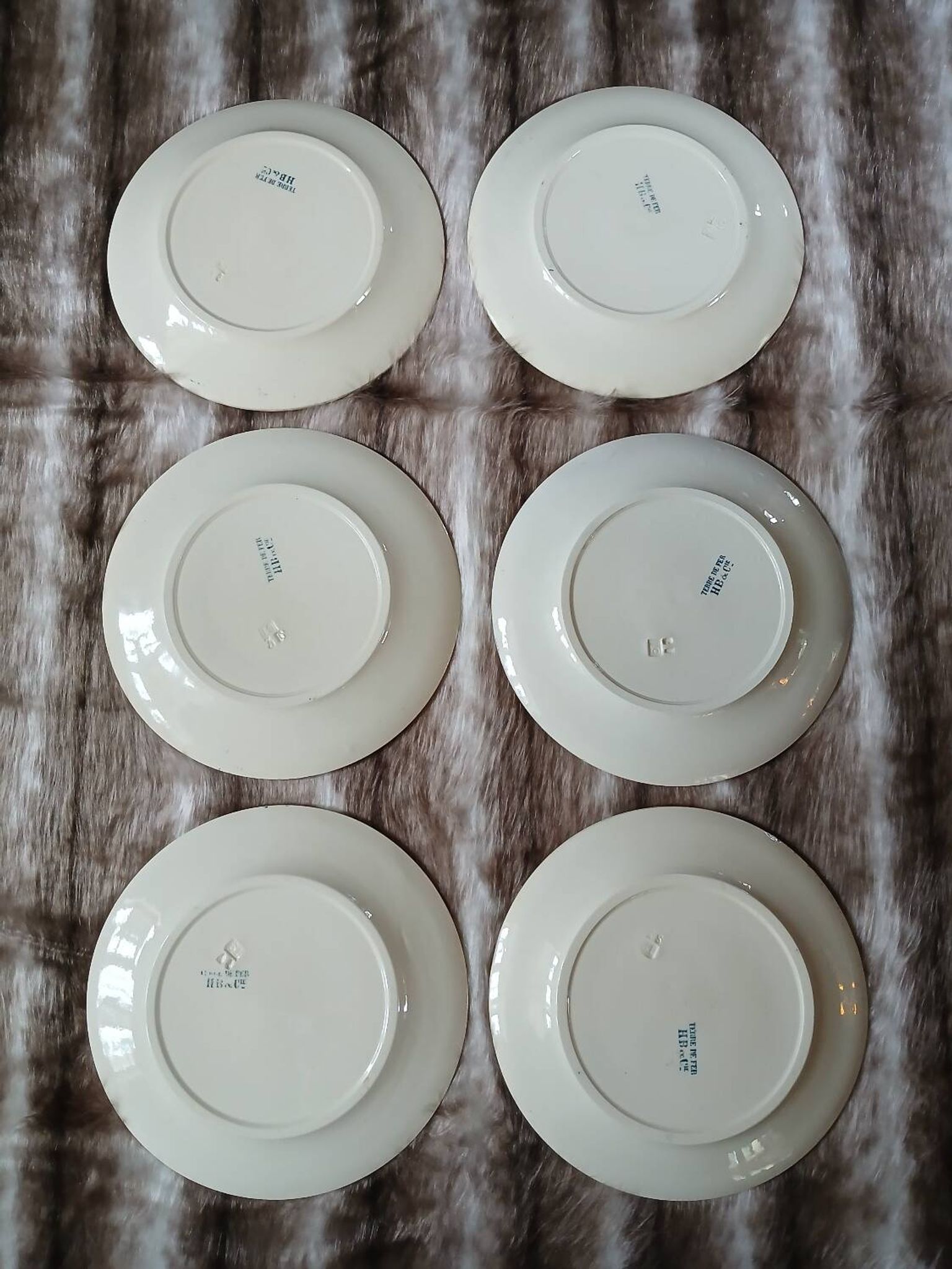 6 assiettes plates anciennes en Terre de fer Hb& Cie