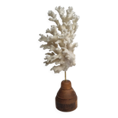 Antique white coral on turned wooden base, 25 cm