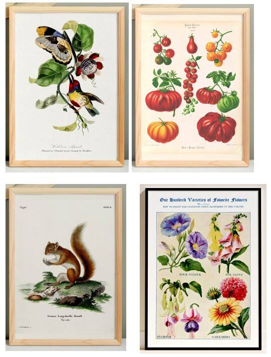 Set of 4 reserved posters