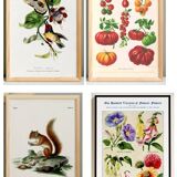 Set of 4 reserved posters