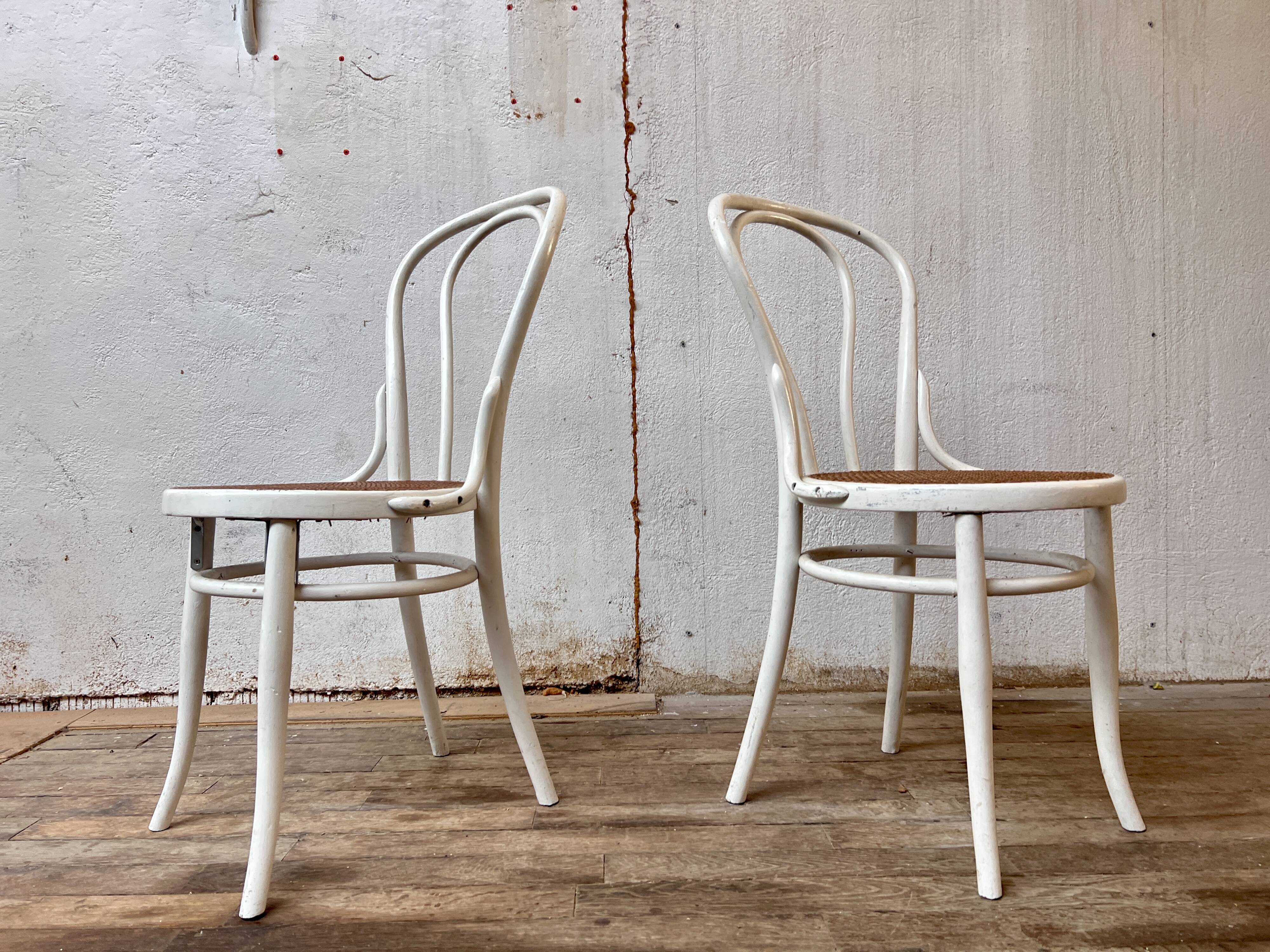 Pair of 2 bistro chairs in white bentwood and canework Jacob Josef Kohn