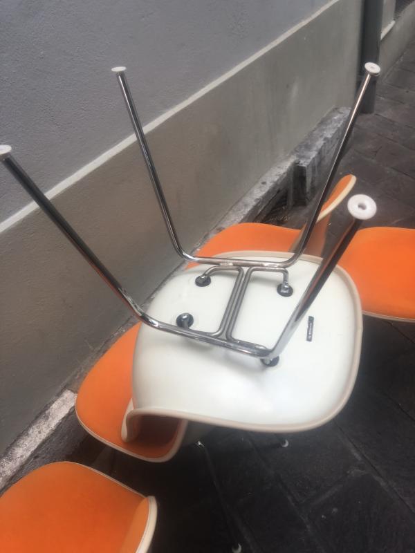 Suite of 6 chairs Dsx Charles and Ray Eames edition Herman Miller 1960