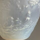 Muller opalescent bird vase