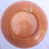 Naïve plates with birds of Sardinia