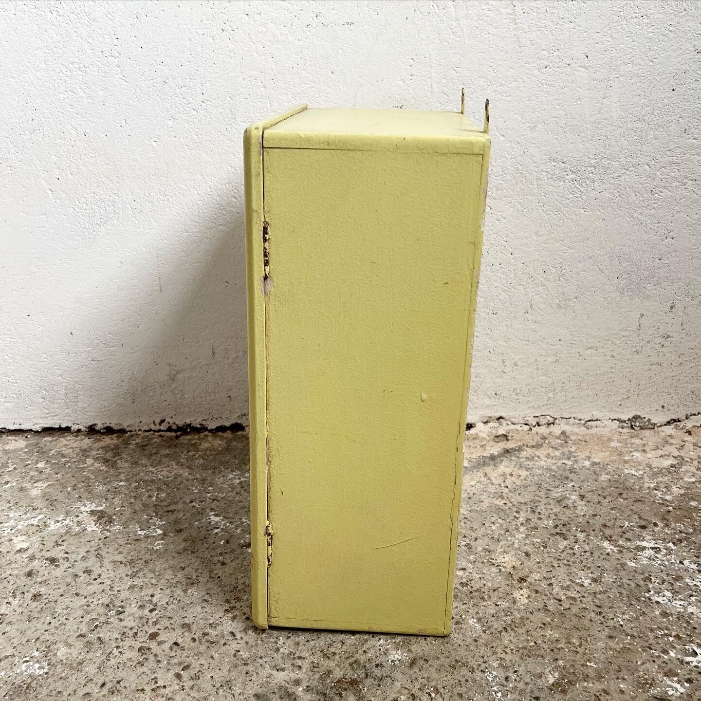 Wall-mounted pharmacy toilet cabinet 1 door