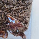 BOSSOT in Ciry-le-Noble (71) Stoneware tobacco pot with naturalist decoration