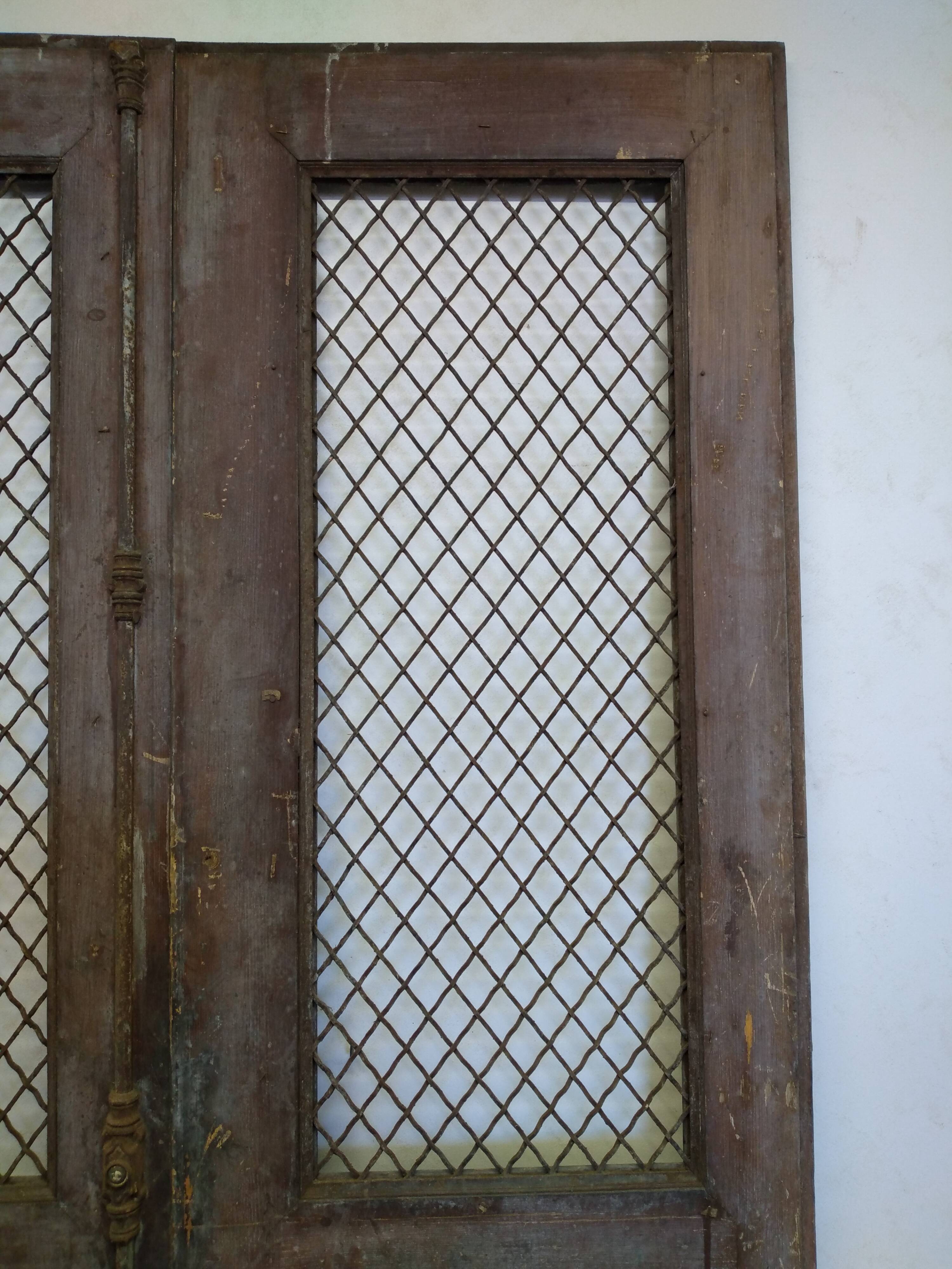 Double old mesh door