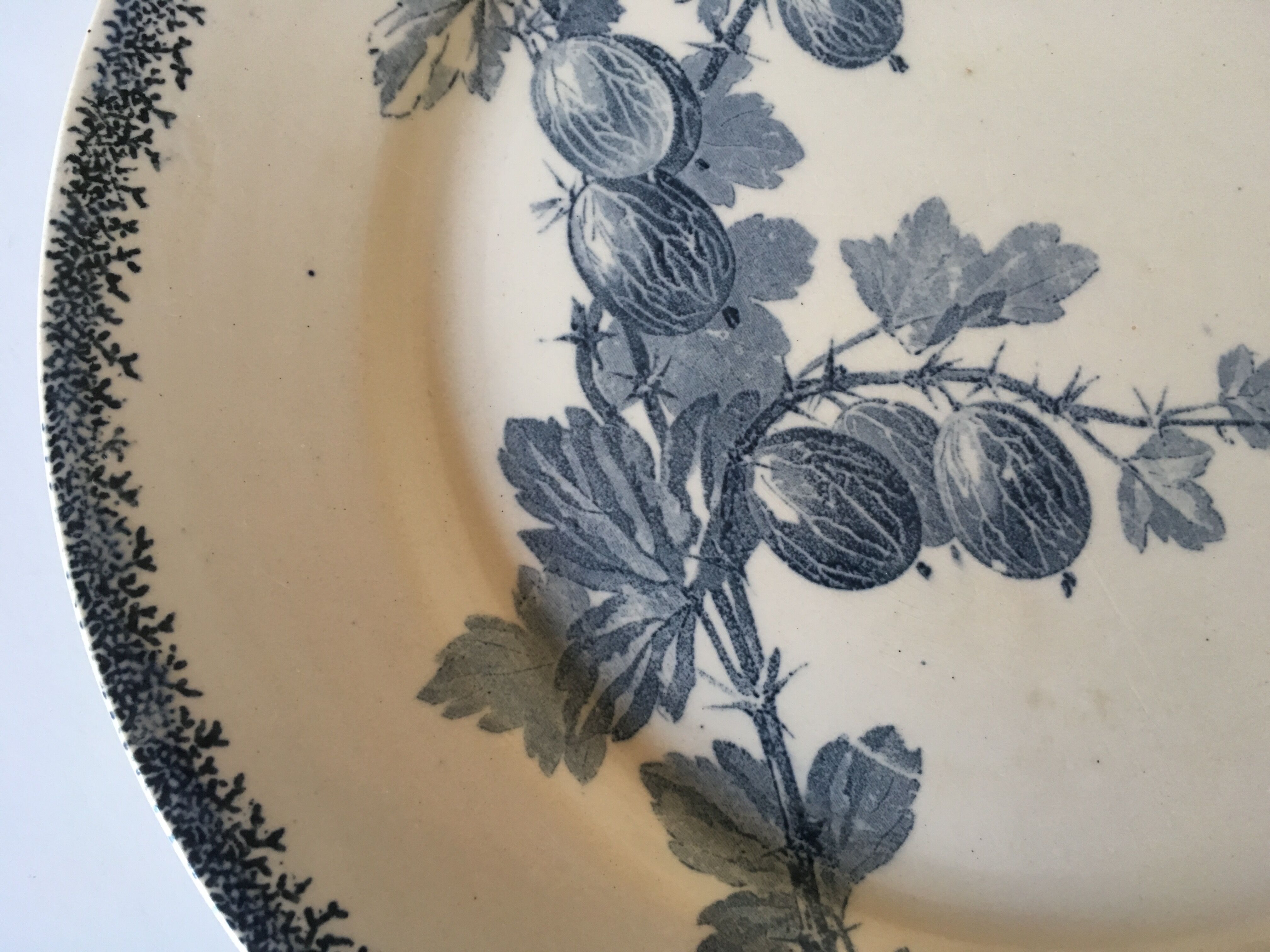 Plate of earthenware iron earth U-C Sarreguemines pattern Groseilles