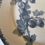 Plate of earthenware iron earth U-C Sarreguemines pattern Groseilles