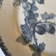 Plate of earthenware iron earth U-C Sarreguemines pattern Groseilles