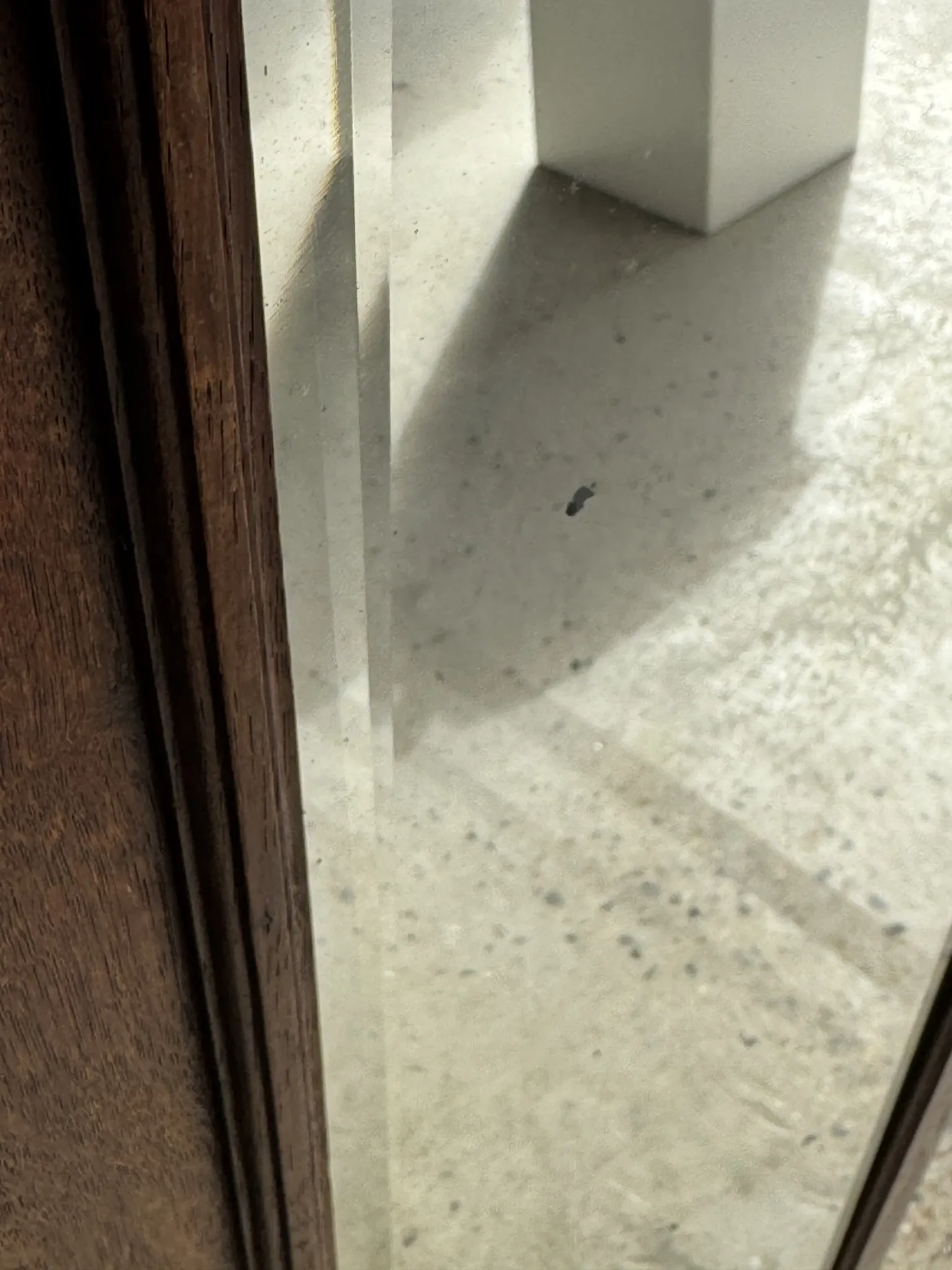 Antique mirror door (left) of a brown oak wardrobe with bevelled glass.