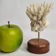 Antique white coral mounted on a wooden base, 15 cm