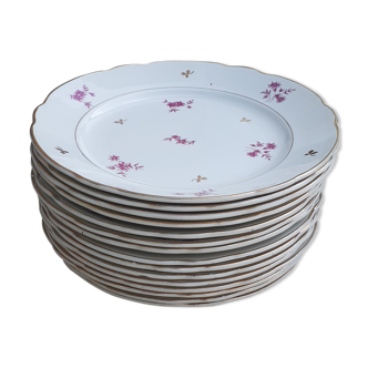 Assiettes plates anciennes estampillé sarreguemines digoin modèle aurore