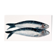 "2 sardines" par Joseph Rethlin