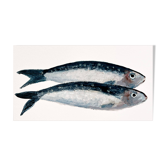 "2 sardines" par Joseph Rethlin