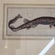 Gravure ancienne poisson – Ludwig Schmidt (XIXᵉ siècle)