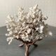 Corail blanc grand modèle 1960 sur bois sculpté