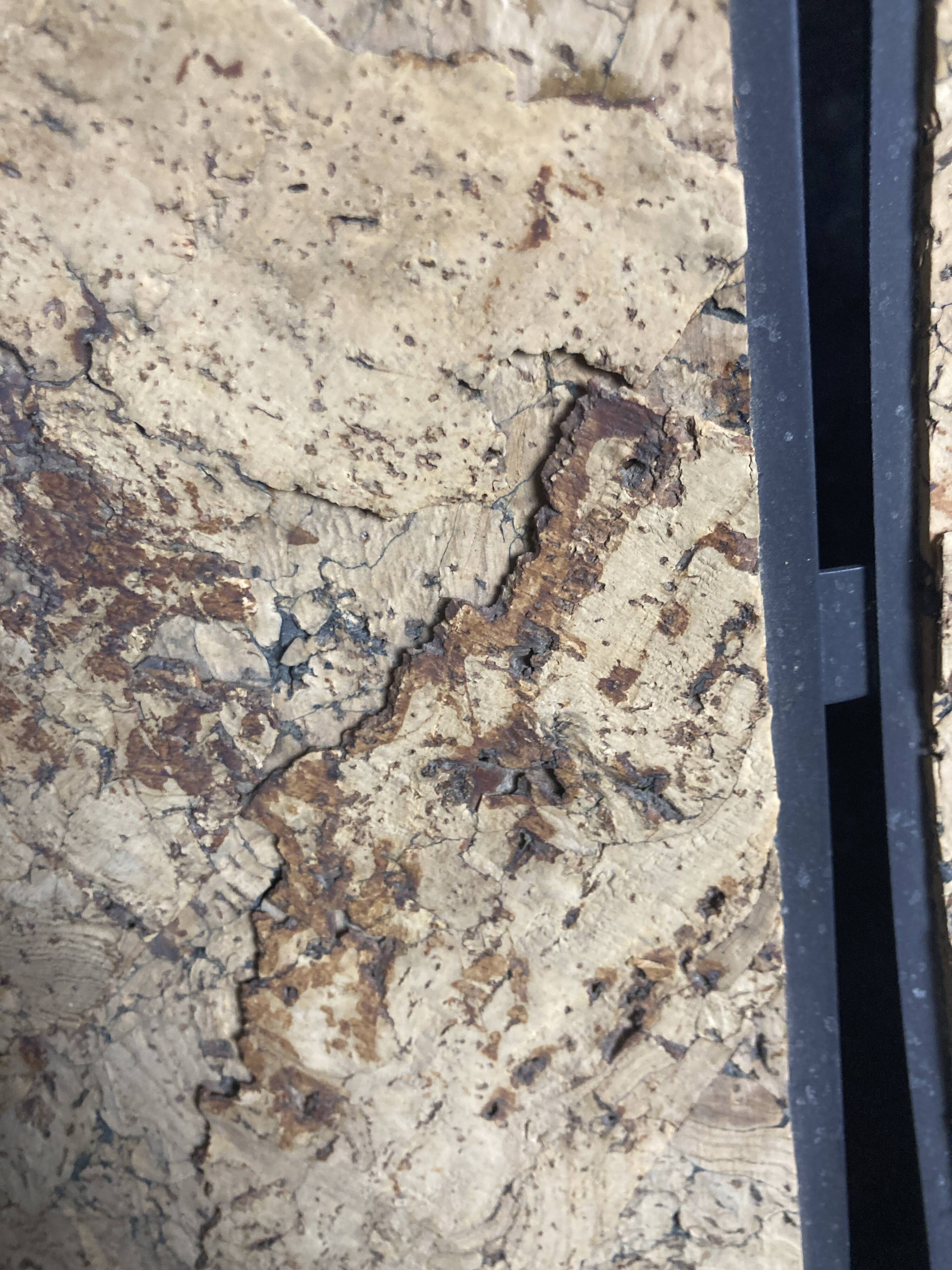 XL clover cork hanging pendant lamp, Germany 1970s