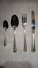 New complete Schneider cutlery set