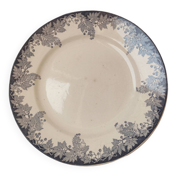 Plat Saint Amand Hamage