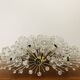 XXL Austrian Dandelion Wall or Ceiling Lamp by Emil Stejnar for Rupert Niko