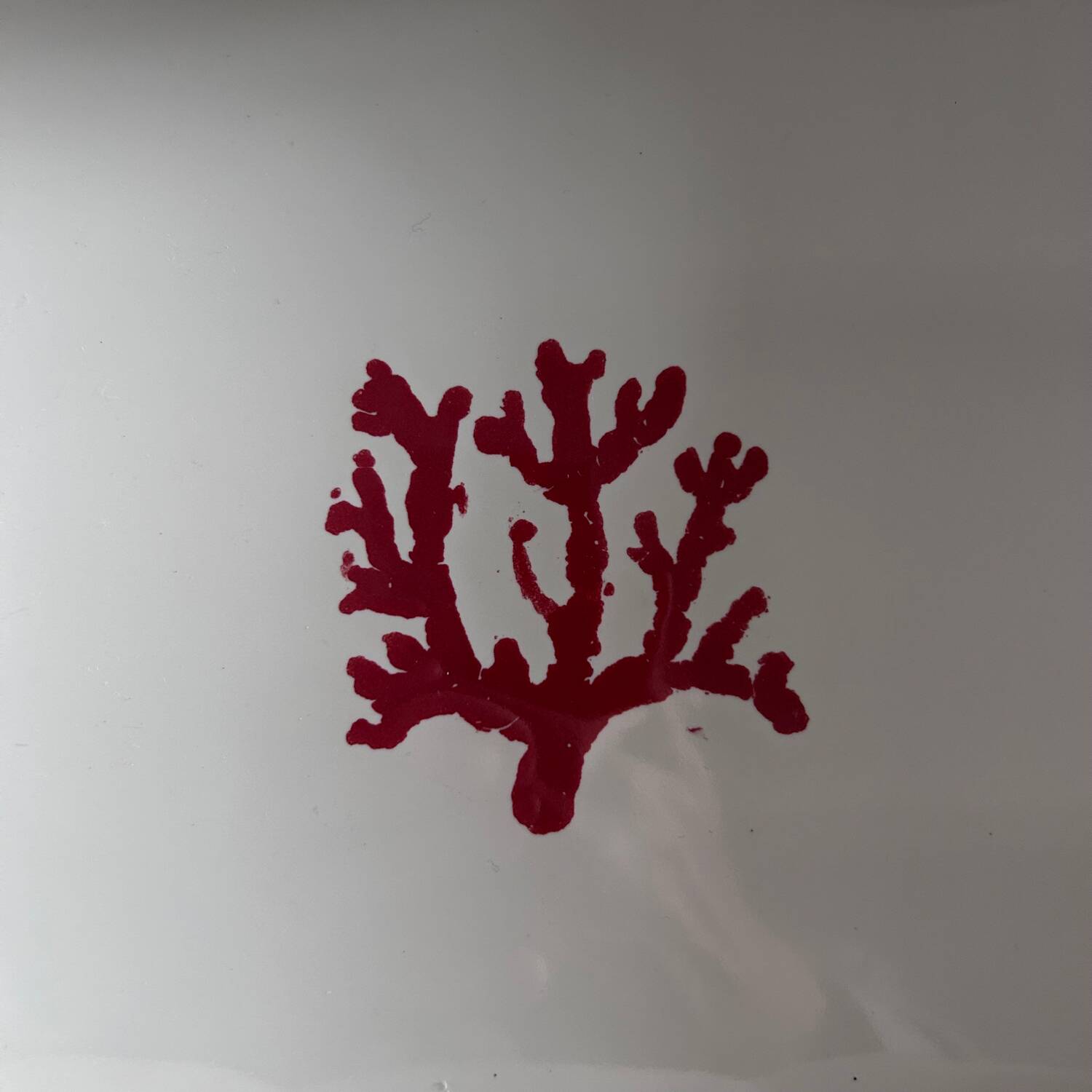 Provençal dish with coral decoration