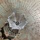 Crystal bowl in the shape of flowers, vintage Orrefors Sweden design
