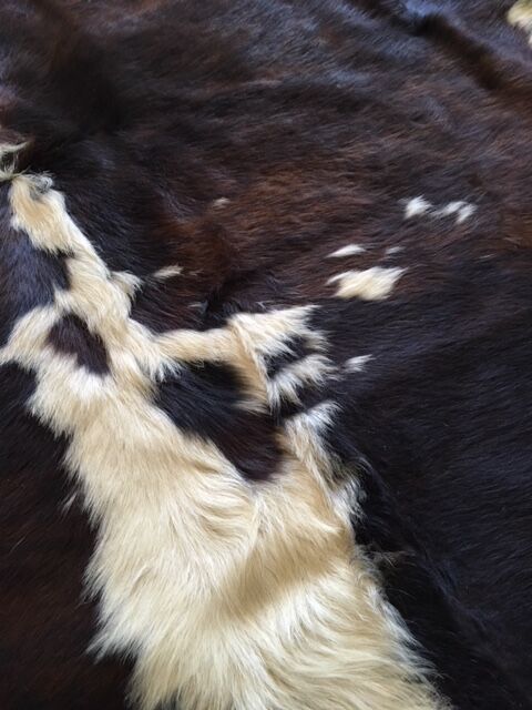 Cow skin