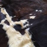 Cow skin