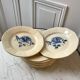 Lot of 10 plates Digoin Sarreguemines flower