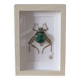 Tableau insecte brodé à la main (pièce unique)