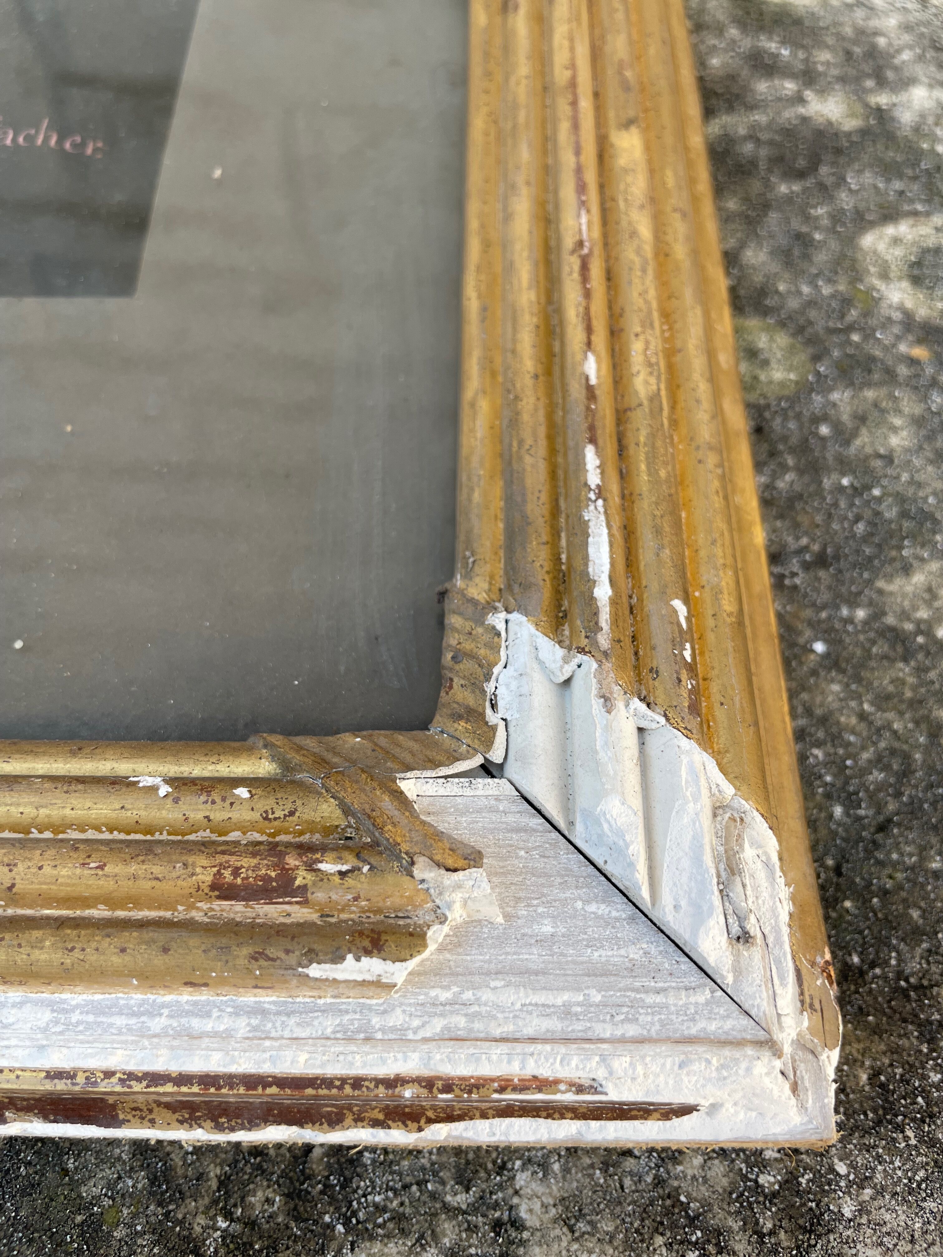 Painting old flowers Stauffacher cabinet of curiosity