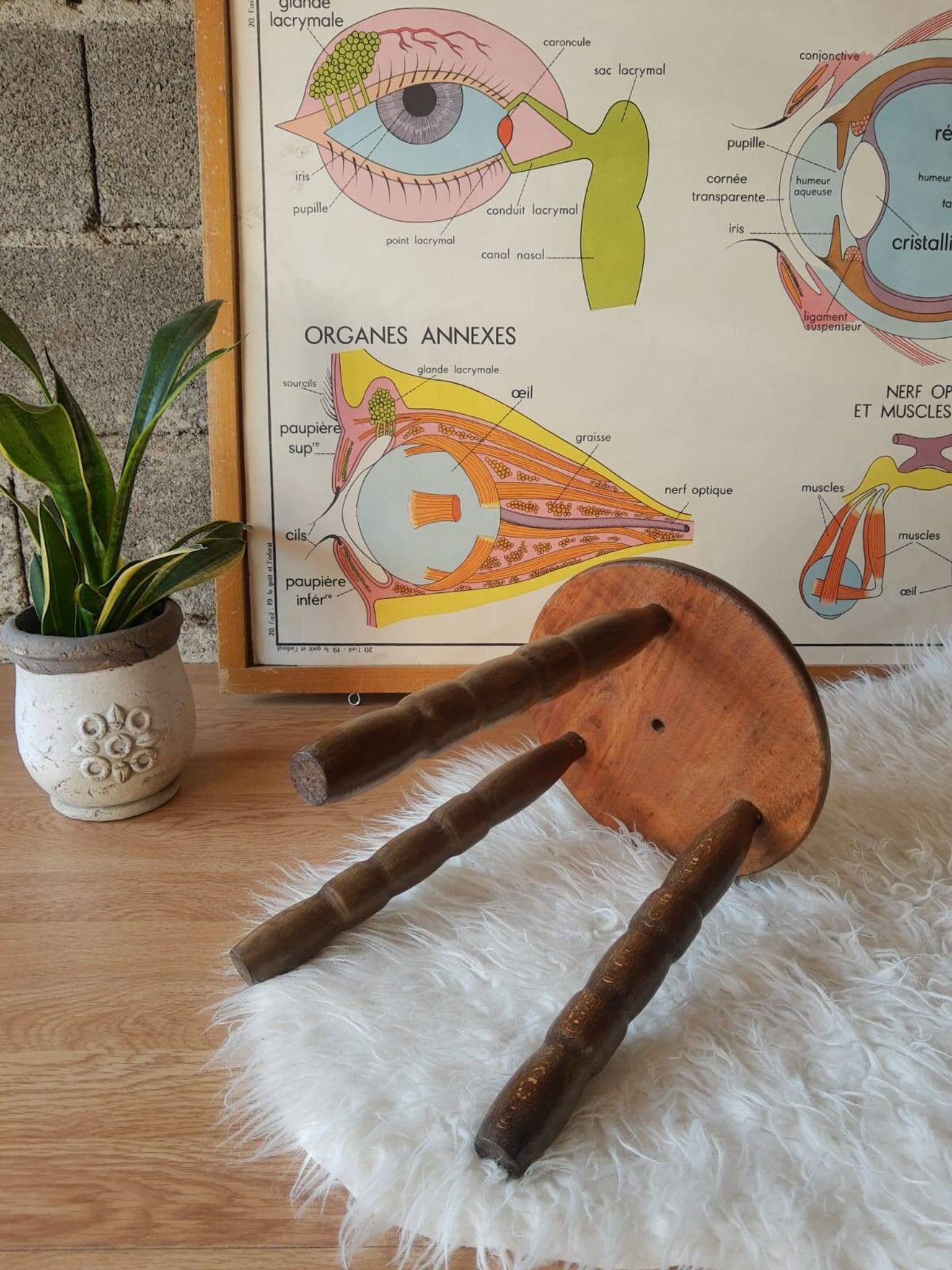 Ancien tabouret de ferme, campagne en bois tripode